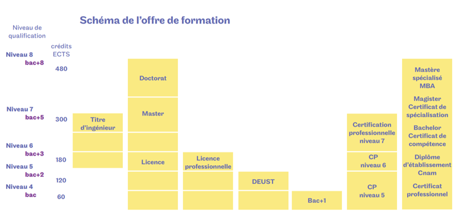 Cnam Paca Nos Formations Pour Adultes Les Diplômes